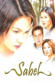 Sabel 2004 on netflix