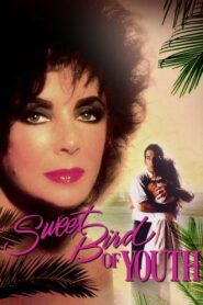 Sweet Bird of Youth 1989 on netflix