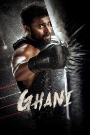 Ghani 2022 on netflix