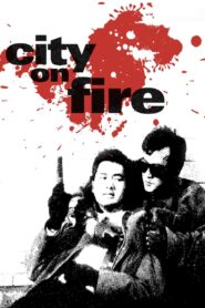 City on Fire 1987 on netflix