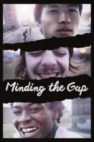 Minding the Gap 2018 on netflix
