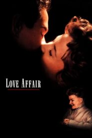 Love Affair 1994 on netflix