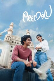 Premalu 2024 on netflix