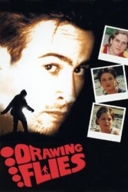 Drawing Flies 1996 on netflix