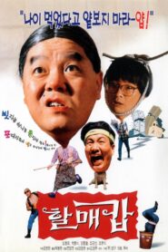 Grandma Cop 1994 on netflix
