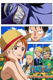 One Piece Episode of Nami: Tears of a Navigator and the Bonds of Friends 2012 on netflix
