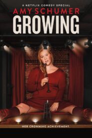 Amy Schumer: Growing 2019 on netflix