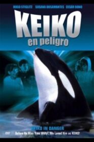 Keiko in danger 1990 on netflix