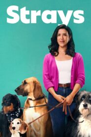 Strays 2021 on netflix