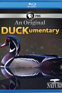 PBS Nature – An Original DUCKumentary 2012 on netflix