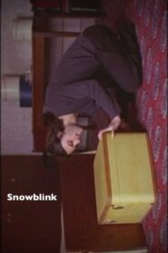 Snowblink 2004 on netflix