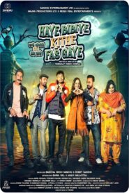 Haye Bibiye Kithe Fas Gaye 2024 on netflix