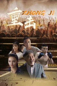 Punch 2020 on netflix