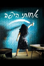 My Lovely Sister 2011 on netflix