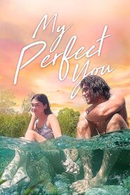 My Perfect You 2018 on netflix