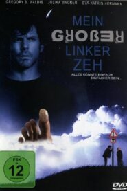 Mein großer linker Zeh 2011 on netflix