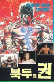 Double North Fist 1993 on netflix