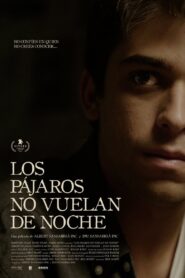 Birds Don’t Fly at Night 2020 on netflix