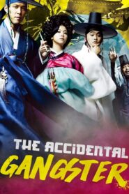 The Accidental Gangster 2008 on netflix