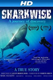 Sharkwise 2011 on netflix