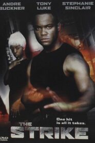 Fighting Chance 1999 on netflix