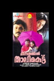 Meenathil Thalikettu 1998 on netflix