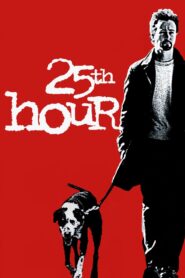 25th Hour 2002 on netflix