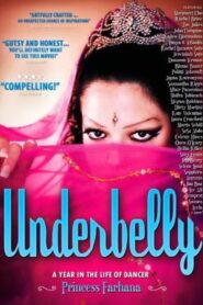 Underbelly 2008 on netflix
