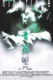 China Flower 2005 on netflix