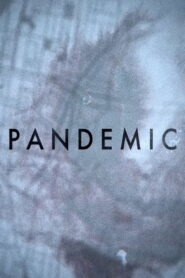 Pandemic 2016 on netflix