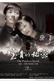 宝贵的秘密 2009 on netflix