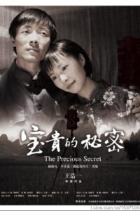 宝贵的秘密 2009 on netflix