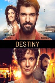 Destiny 2019 on netflix