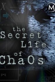 The Secret Life of Chaos 2010 on netflix
