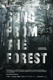 Song from the Forest 2014 on netflix