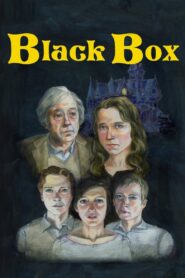 Black Box 2013 on netflix