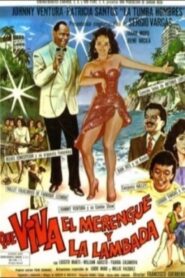 ¡Qué viva el merengue y la lambada! 1990 on netflix