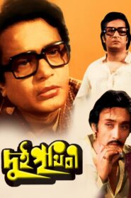 Dui Prithibi 1980 on netflix