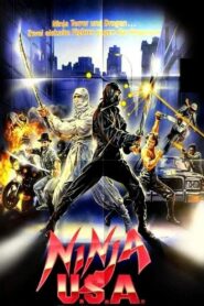Ninja USA 1985 on netflix