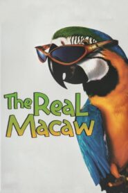 The Real Macaw 1998 on netflix