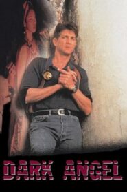 Dark Angel 1996 on netflix