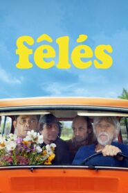 Fêlés 2024 on netflix