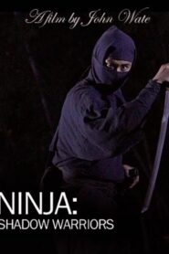 Ninja Shadow Warriors 2012 on netflix