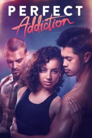 Perfect Addiction 2023 on netflix