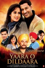 Yaara O Dildaara 2011 on netflix