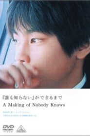 A Making of Nobody Knows 2004 on netflix