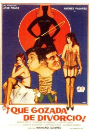 ¡Qué gozada de divorcio! 1981 on netflix