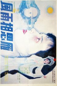 风雨相思雁 1991 on netflix