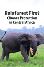 Rainforest First: Climate Protection in Central Africa 2022 on netflix