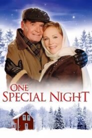 One Special Night 1999 on netflix